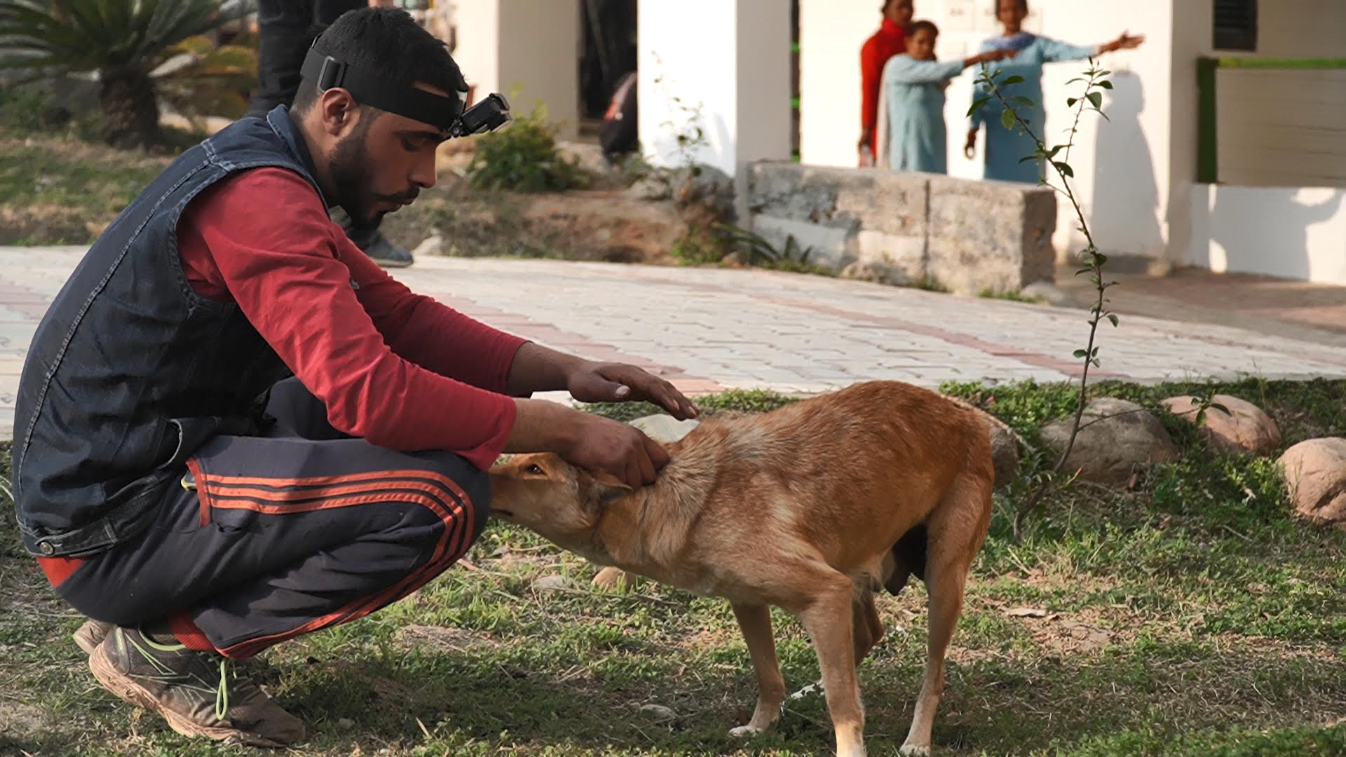 care_for_dog4