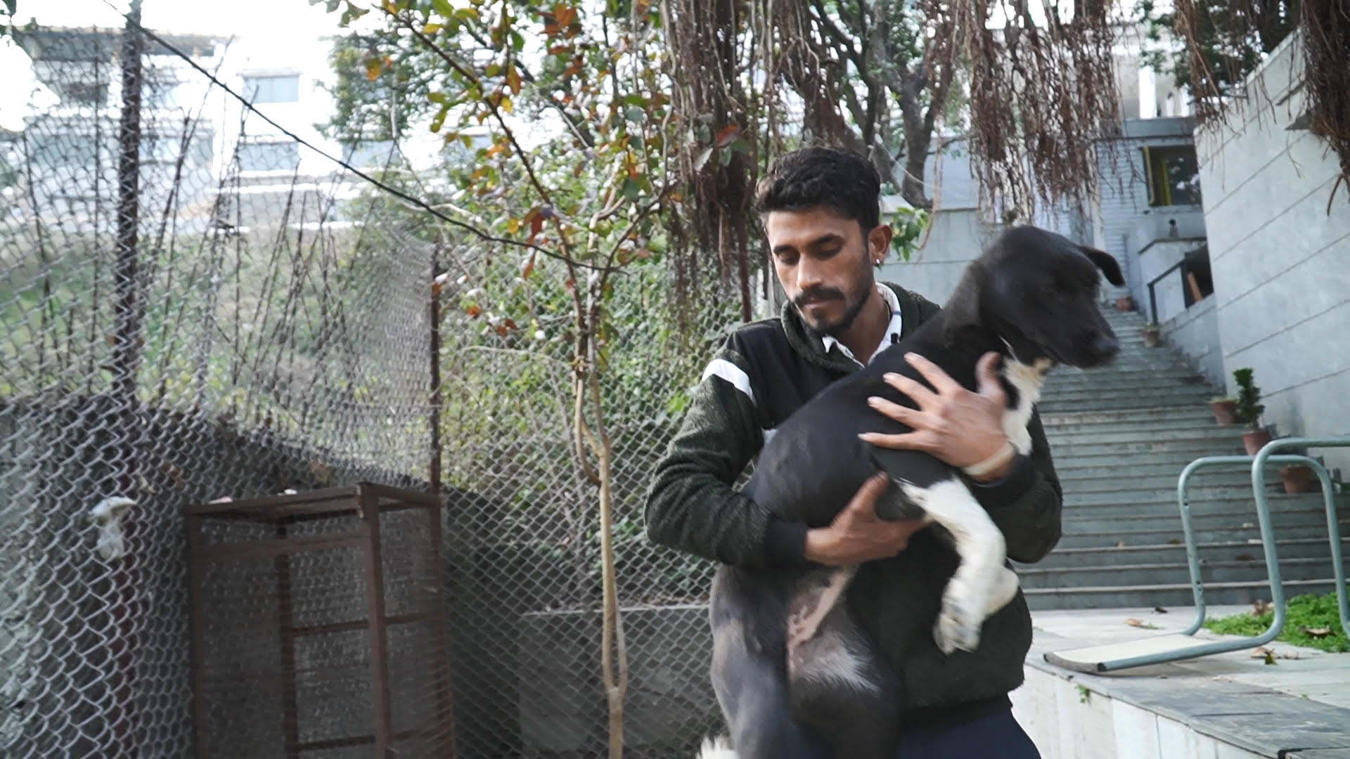 care_for_dog2