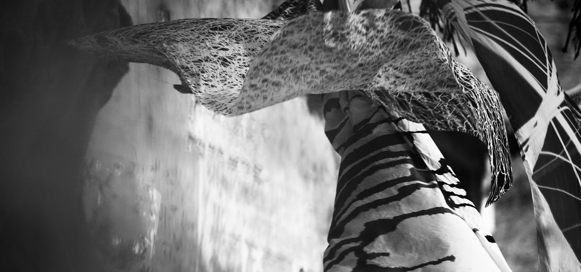 Banner 2