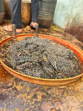 Bagru Printing Craft3